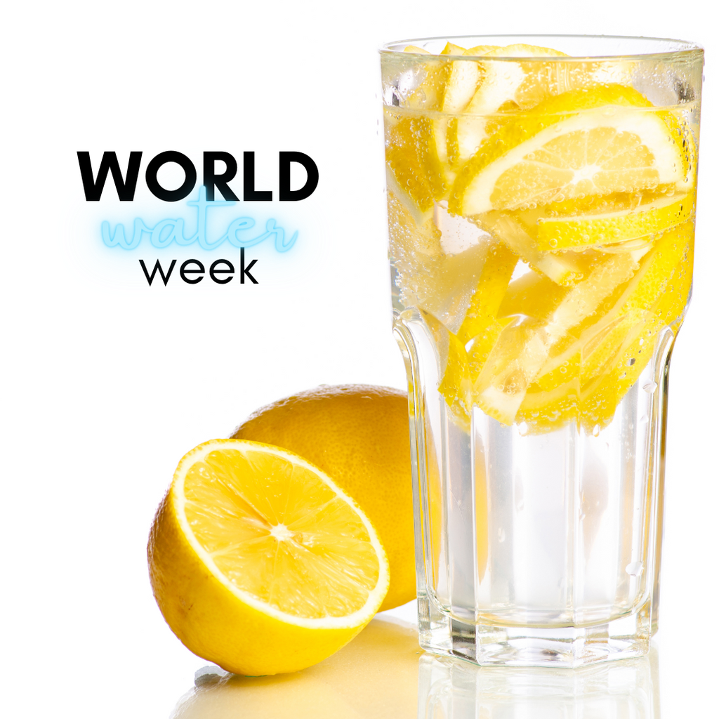 Celebrate Water Week with Maumee Supply & Waterhouse bath & kitchen studio!