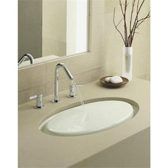 Kohler Paradox Undermount Sink K-2817-FD & K-2819-P5-FD